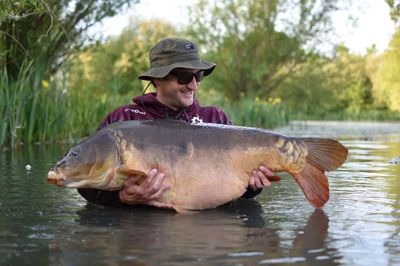 Dan and Single Scale